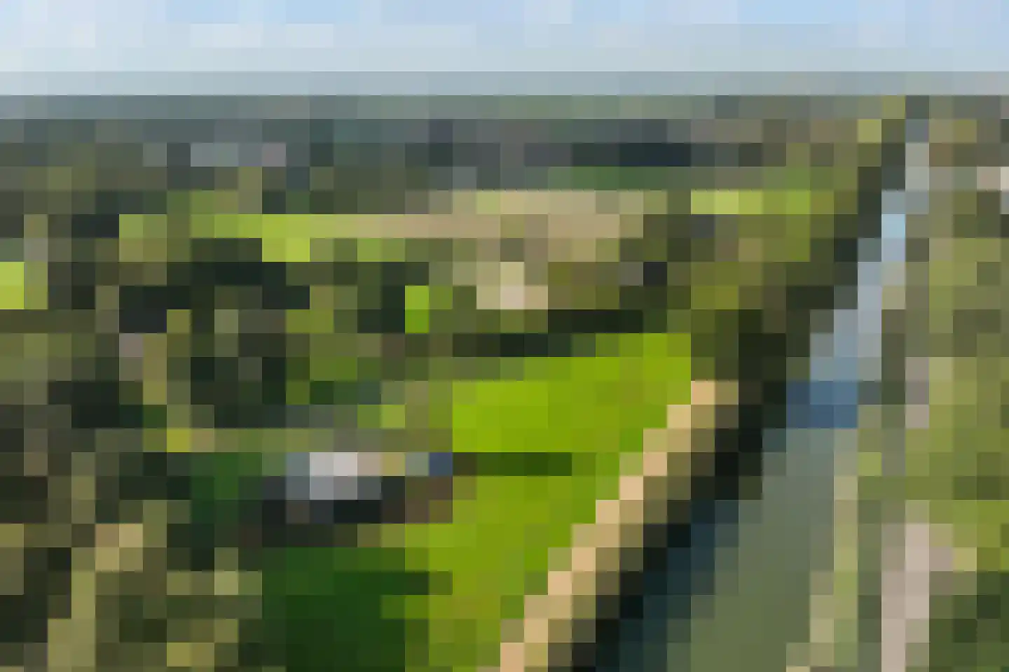 Hoeven 4 Nederweert-Eind thumbnail 76