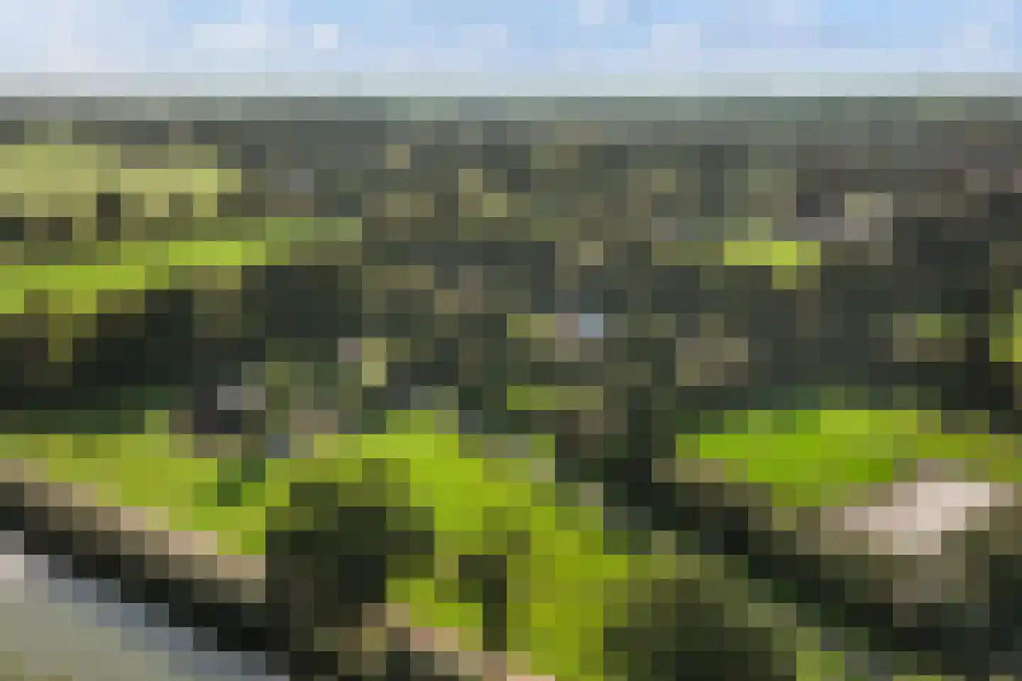 Hoeven 4 Nederweert-Eind thumbnail 77