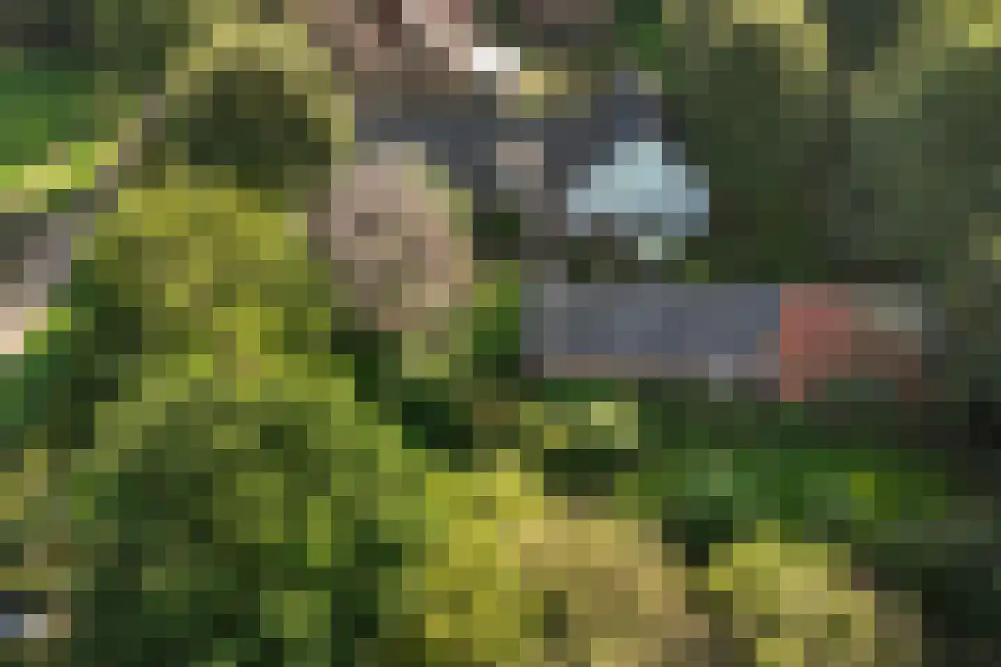 Hoeven 4 Nederweert-Eind thumbnail 8