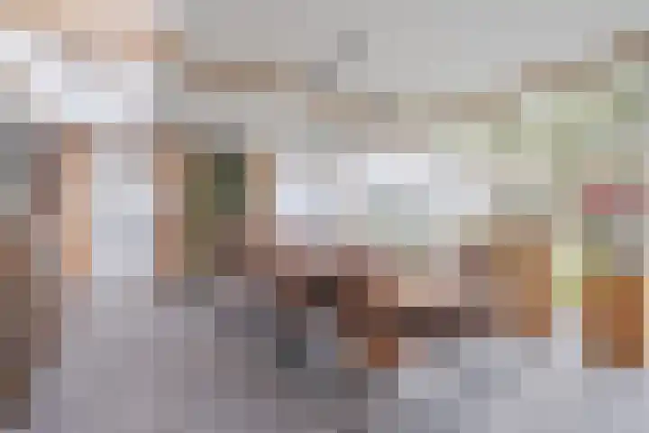 Hoevenbocht 14 Reusel thumbnail 21