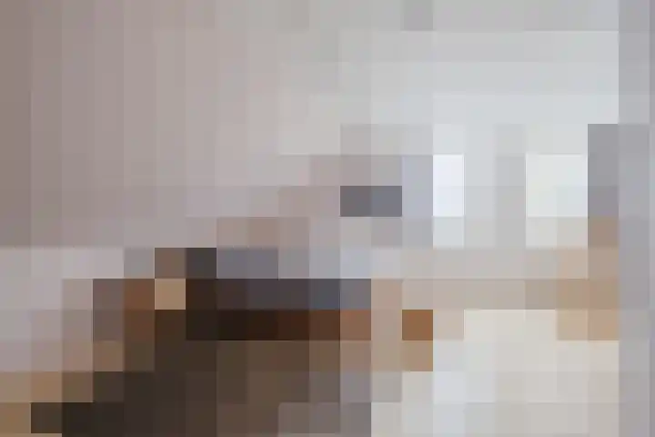 Hoevenbocht 14 Reusel thumbnail 24
