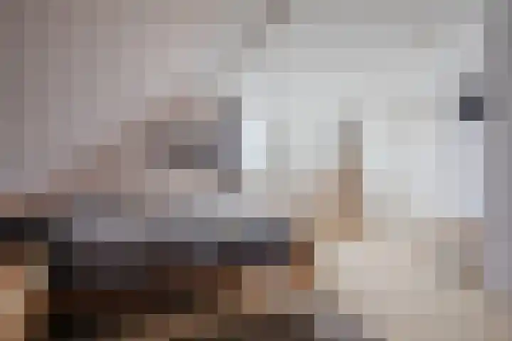 Hoevenbocht 14 Reusel thumbnail 25