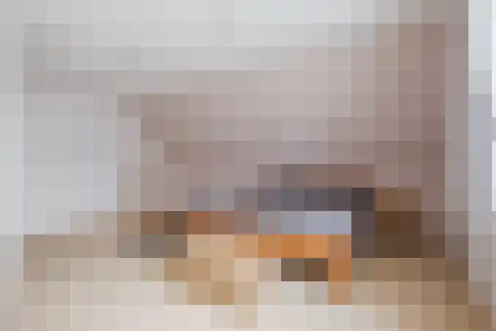 Hoevenbocht 14 Reusel thumbnail 26