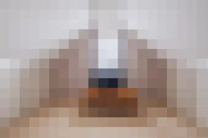 Hoevenbocht 14 Reusel thumbnail 31
