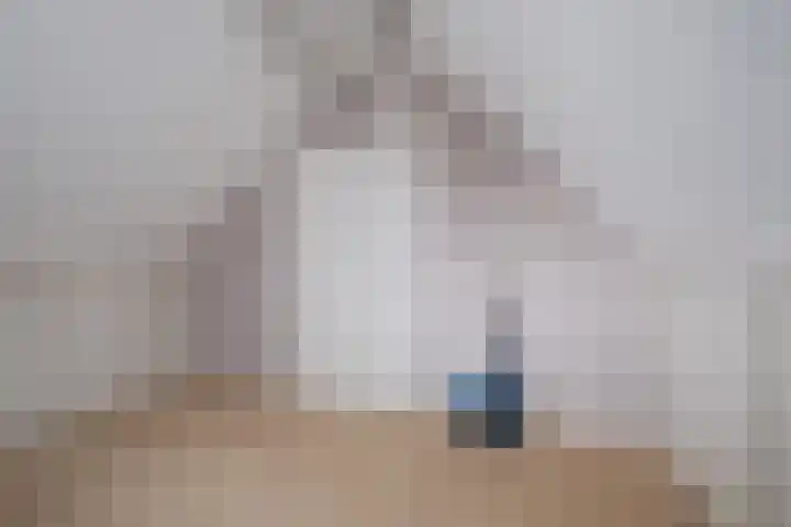 Hoevenbocht 14 Reusel thumbnail 32