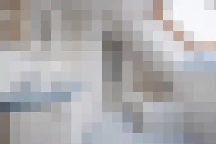 Hoevenbocht 14 Reusel thumbnail 33