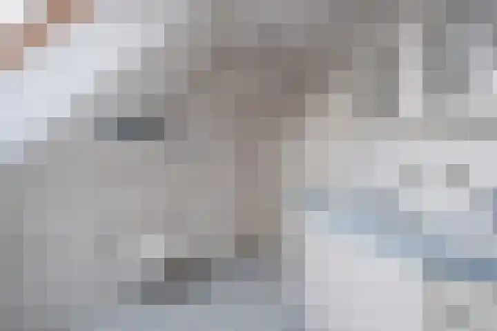 Hoevenbocht 14 Reusel thumbnail 34