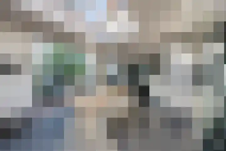 Hoevenbocht 14 Reusel thumbnail 37