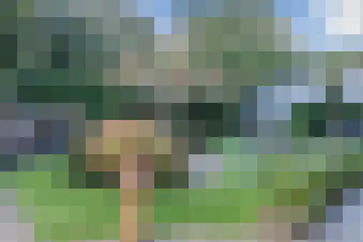 Hoevenbocht 14 Reusel thumbnail 40