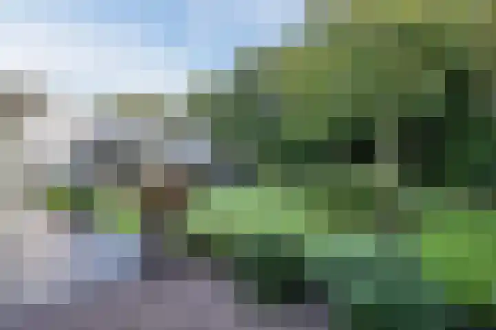 Hoevenbocht 14 Reusel thumbnail 41