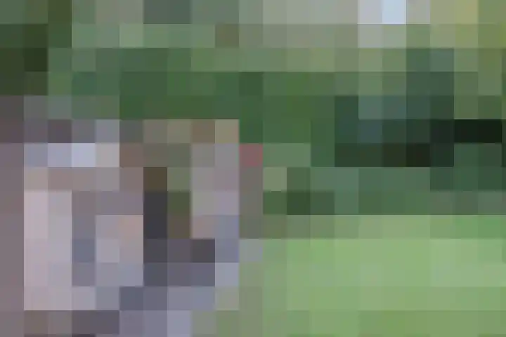 Hoevenbocht 14 Reusel thumbnail 42