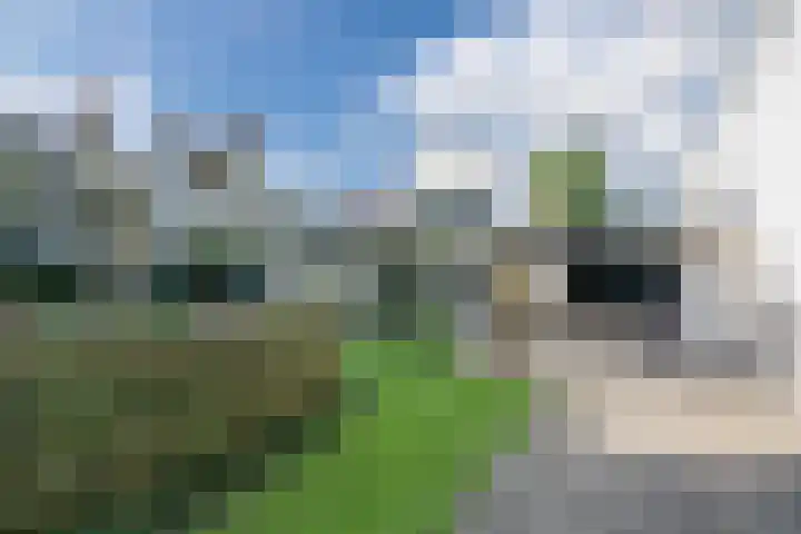 Hoevenbocht 14 Reusel thumbnail 43