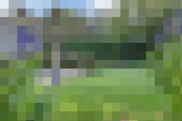 Hoevenbocht 14 Reusel thumbnail 44