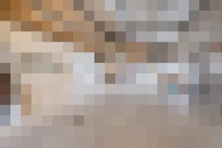 Hoevenbocht 14 Reusel thumbnail 45