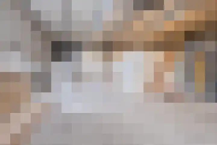 Hoevenbocht 14 Reusel thumbnail 47