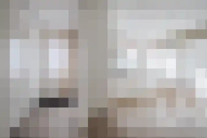 Hoevenbocht 14 Reusel thumbnail 54