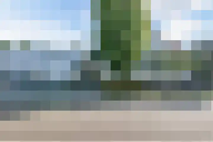 Hoevenbocht 14 Reusel thumbnail 6