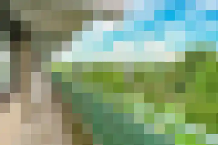 Hoevenbos 113 Zoetermeer thumbnail 15