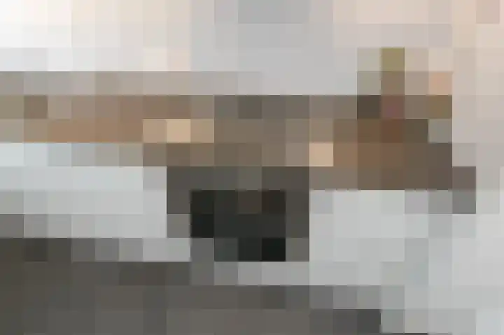 Hoevenbos 113 Zoetermeer thumbnail 29