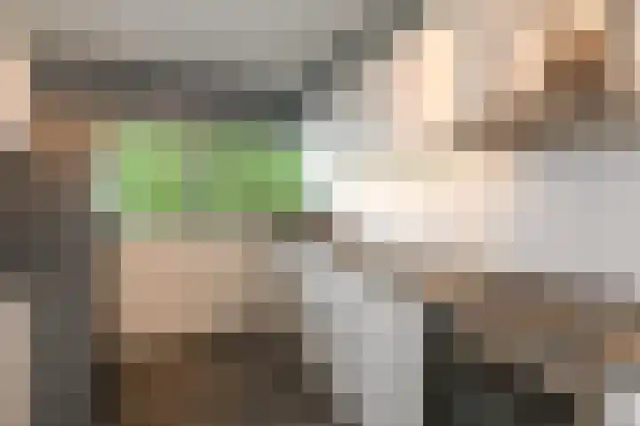 Hoevenbos 113 Zoetermeer thumbnail 33