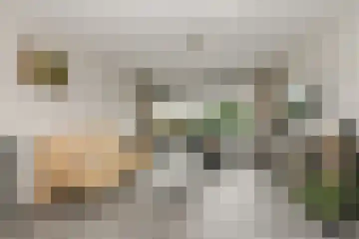 Hoevenbos 113 Zoetermeer thumbnail 36