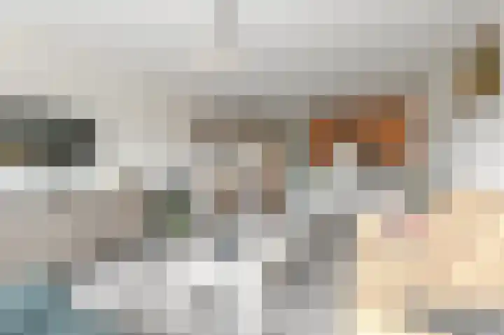Hoevenbos 113 Zoetermeer thumbnail 40