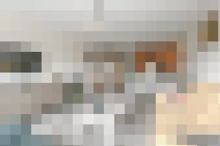 Hoevenbos 113 Zoetermeer thumbnail 41