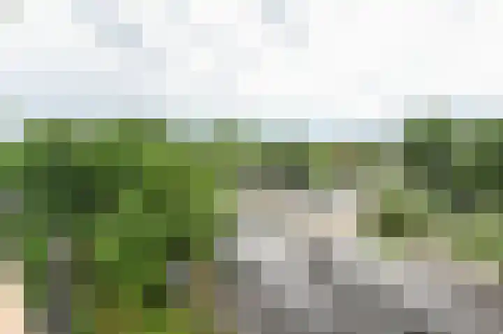 Hoevenbos 113 Zoetermeer thumbnail 66