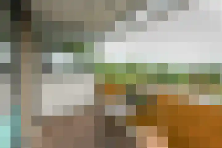 Hoevenbos 113 Zoetermeer thumbnail 68