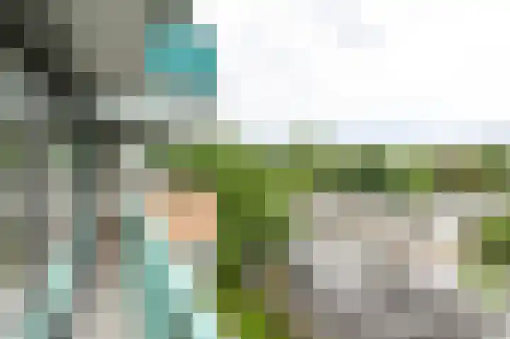 Hoevenbos 113 Zoetermeer thumbnail 72