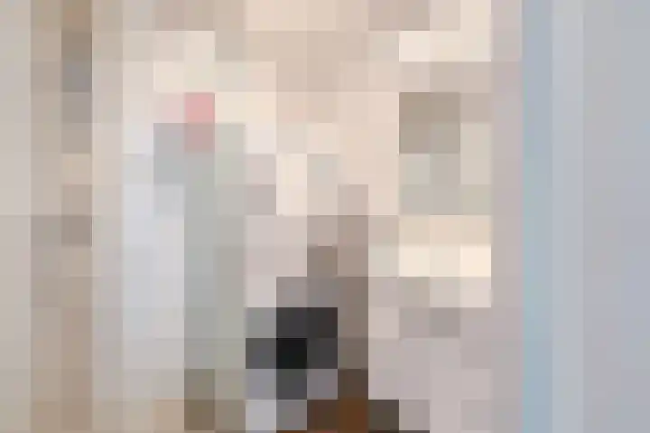 Hoevenbos 113 Zoetermeer thumbnail 8