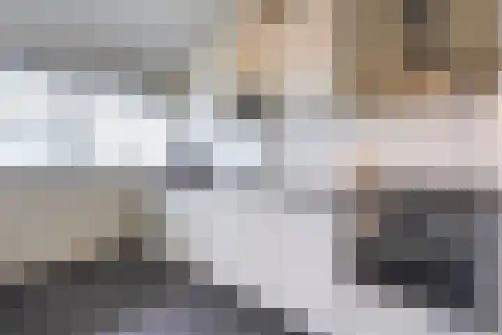 Hoevenbos 164 Zoetermeer thumbnail 12