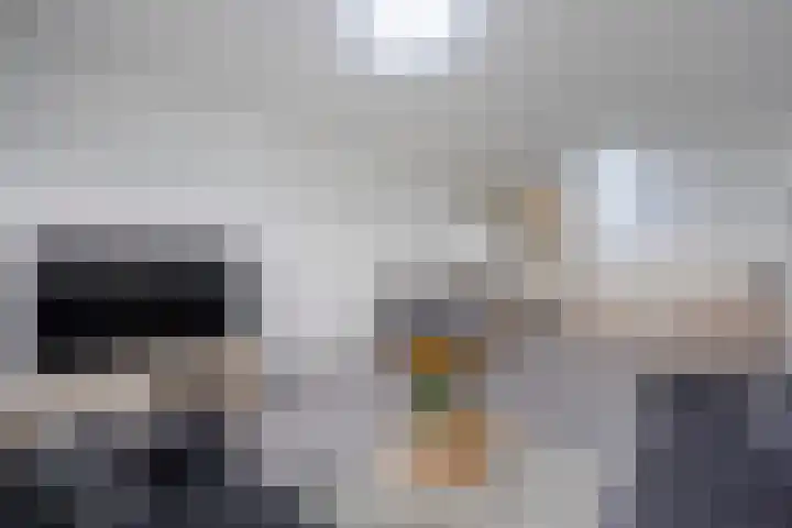 Hoevenbos 164 Zoetermeer thumbnail 16