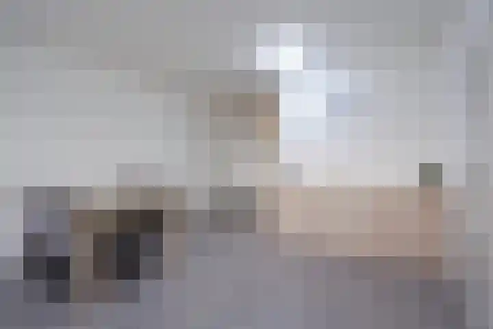 Hoevenbos 164 Zoetermeer thumbnail 18