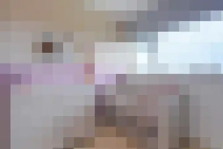 Hoevenbos 164 Zoetermeer thumbnail 23