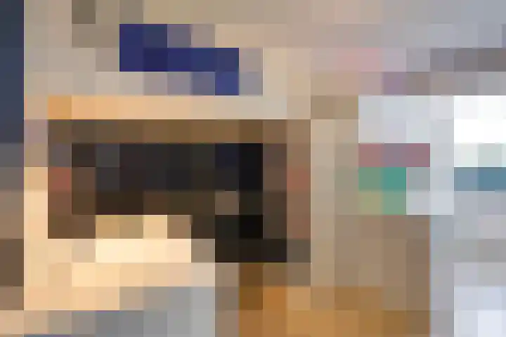 Hoevenbos 164 Zoetermeer thumbnail 30