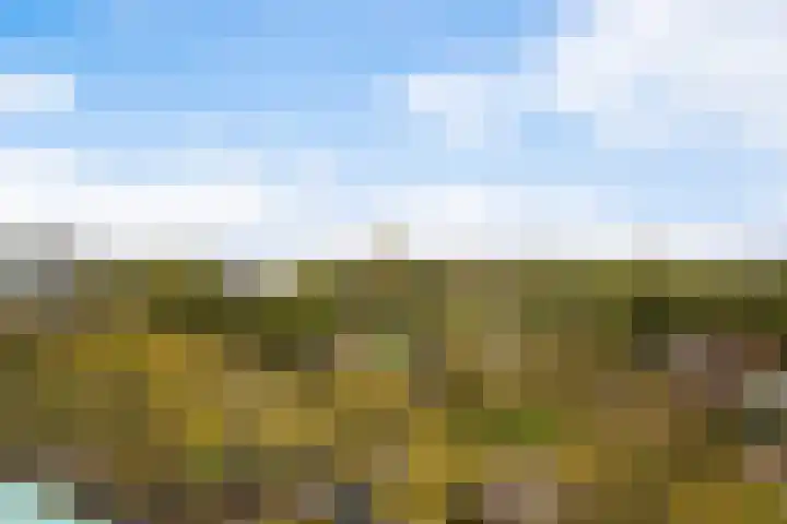 Hoevenbos 164 Zoetermeer thumbnail 32