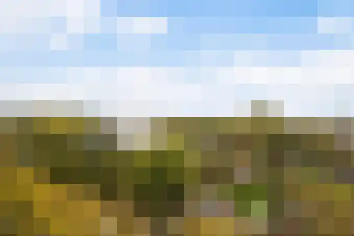 Hoevenbos 164 Zoetermeer thumbnail 33
