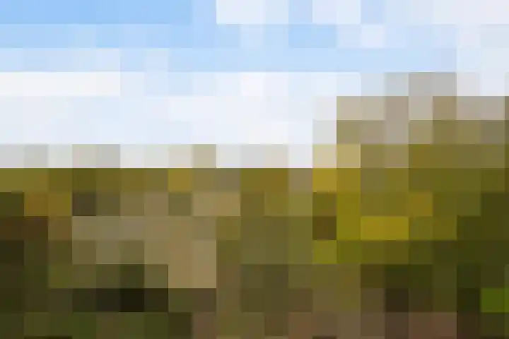 Hoevenbos 164 Zoetermeer thumbnail 34