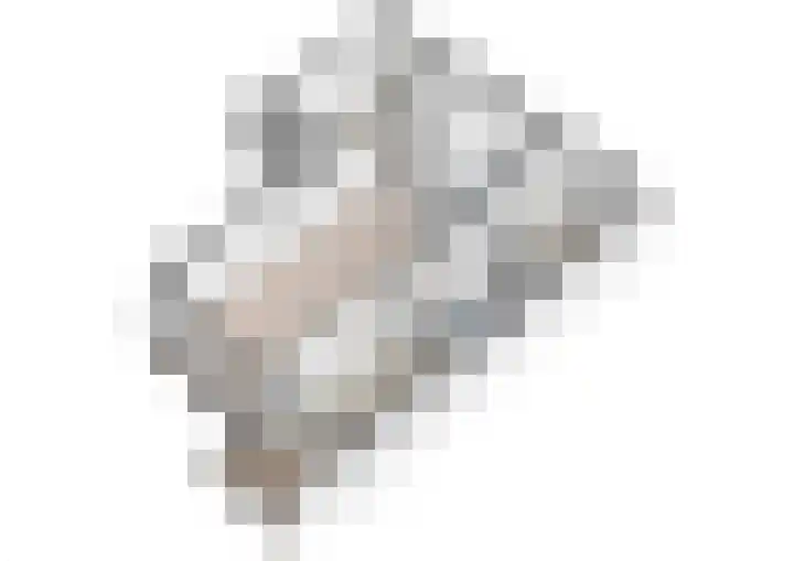 Hoevenbos 164 Zoetermeer thumbnail 36