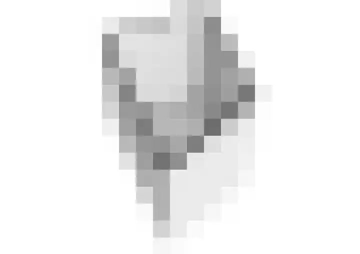 Hoevenbos 164 Zoetermeer thumbnail 38