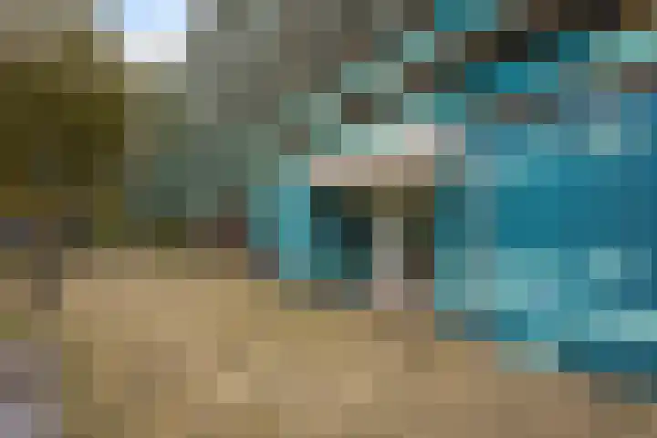 Hoevenbos 164 Zoetermeer thumbnail 8