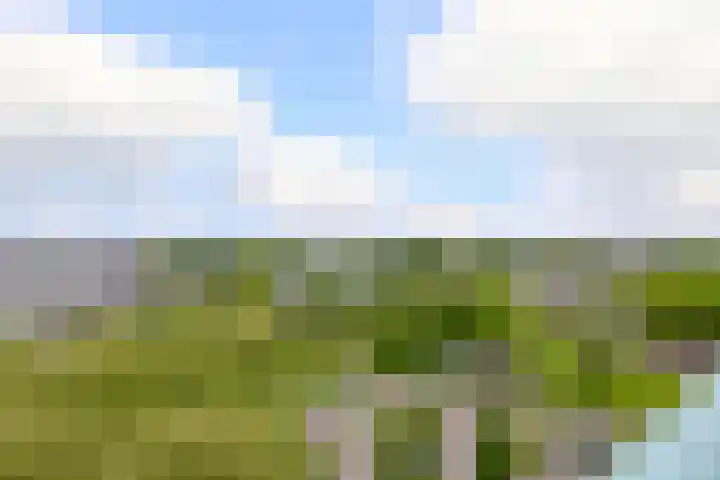 Hoevenbos 306 Zoetermeer thumbnail 10