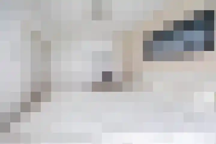 Hoevenbos 306 Zoetermeer thumbnail 18