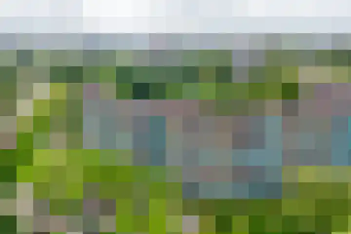 Hoevenbos 306 Zoetermeer thumbnail 31