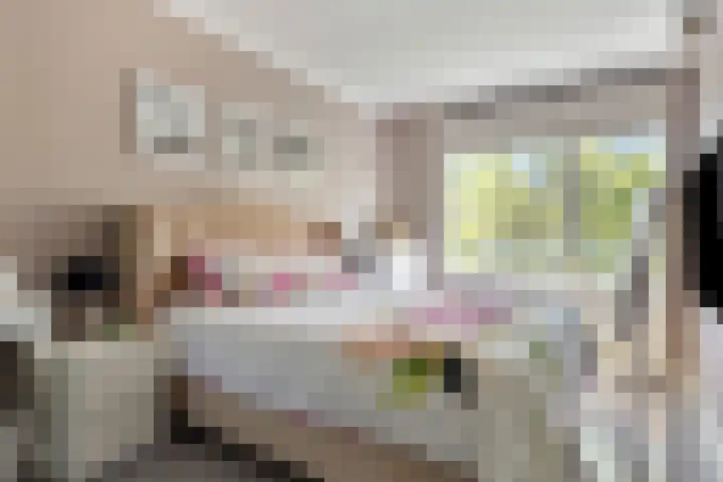 Hoevenbos 61 Zoetermeer thumbnail 23