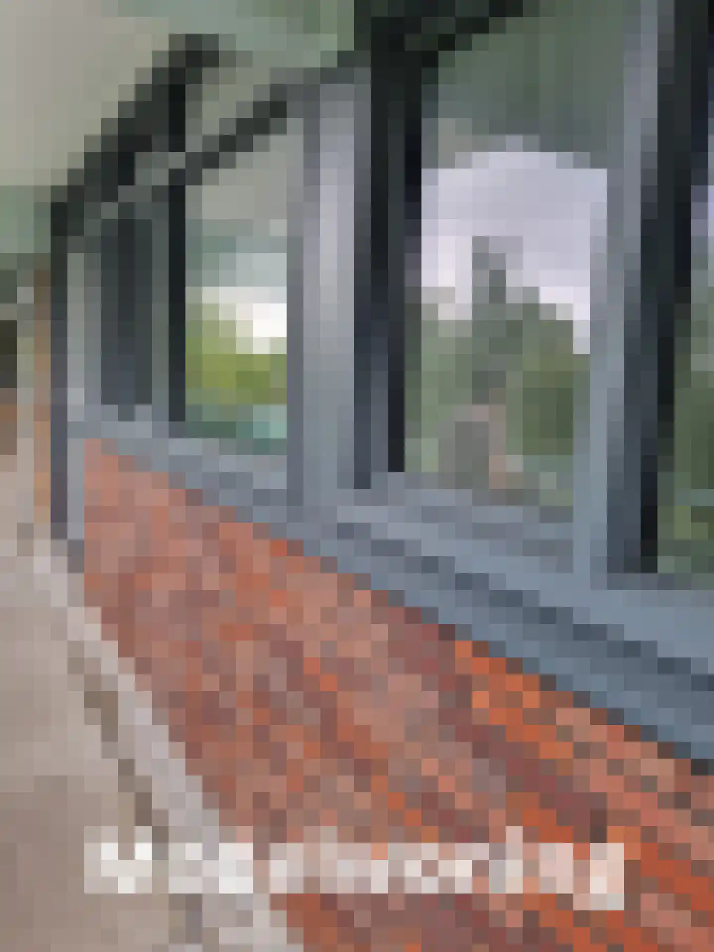 Hoevenbos 76 Zoetermeer thumbnail 40