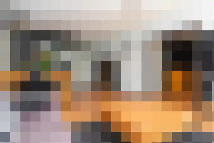 Hoevenbos 95 Zoetermeer thumbnail 15