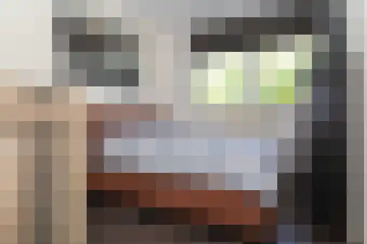 Hoevenbos 95 Zoetermeer thumbnail 24