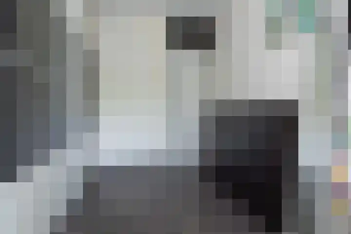 Hoevenbos 95 Zoetermeer thumbnail 26